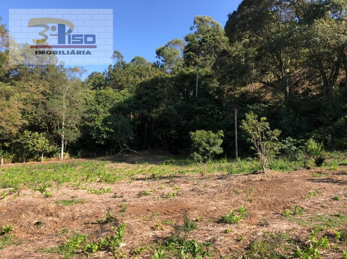 Imagem 6 de 15 de Chácara Em Dos Limas - Pedra Bela - 1655
