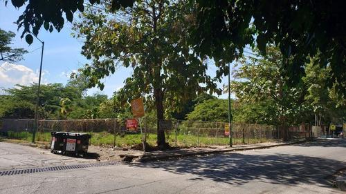 Imagen 3 de 4 de Terreno En Venta En La Col. Las Palmas