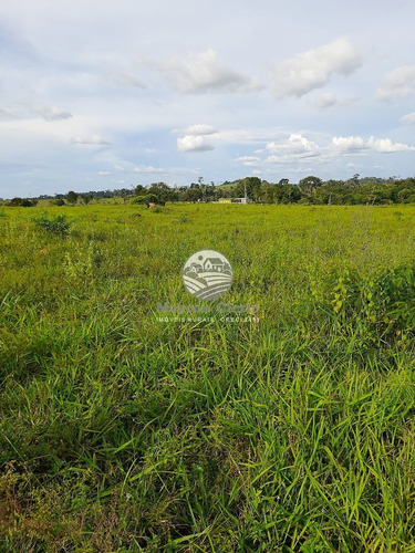 Imagem 7 de 8 de Venda Fazenda Machadinho D'oeste Em Rondônia - Faz313