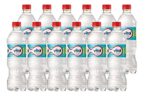 Agua Vital Sin Gas 600 Ml Pack X12 Unidades