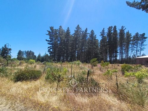 Algarrobo, Bosque De Algarrobo Parcela 100% Plana