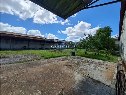Alirio Ugarte Pelayo, Maturín