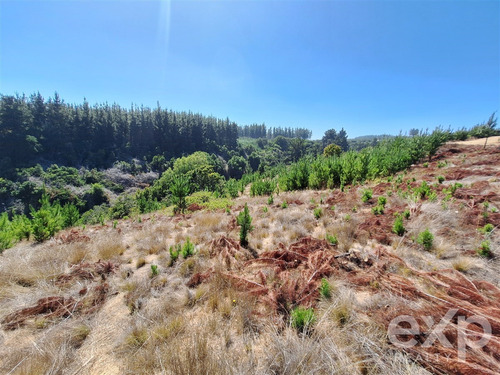 Sitio L37 Vista Amplia En Venta En Pichilemu