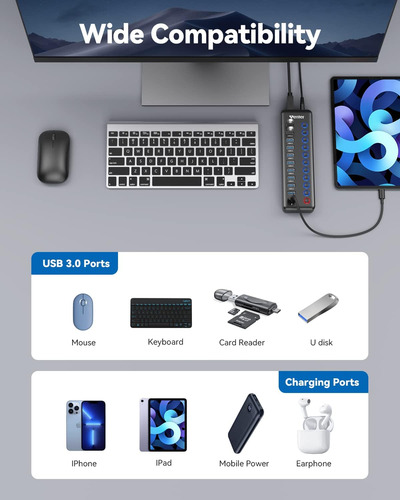 Hub Usb Powered, Wenter 11-port Usb Splitter Hub (10 Puer...