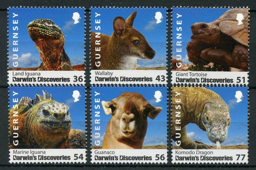 2009 Descubrimiento Darwin- Fauna- Guernsey (sellos) Mint