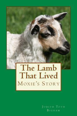Libro The Lamb That Lived --- Moxie's Story - Judith Toth...