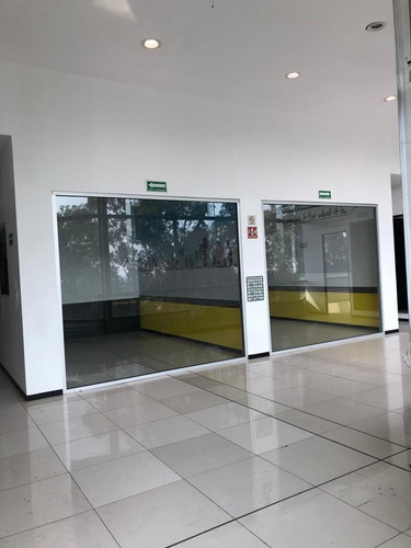 Imagen 4 de 14 de Local Para Universidad, Escuela Ó Academia En Renta
