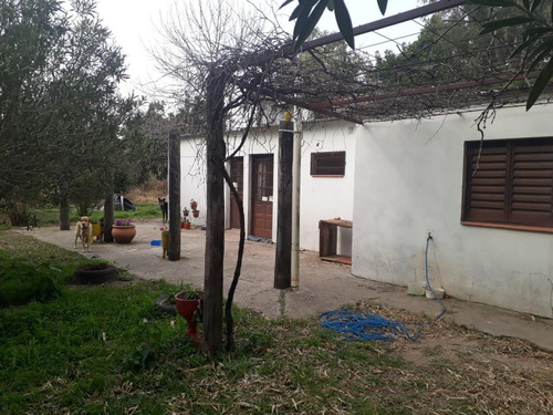 Imagen 3 de 7 de Terreno De 13600mts2. C7 Casa 4 Habit. Y Galpon. A. Leyes K