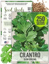 Comprar Semillas De Hierbas Cilantro 250 Semillas Para Plantar Coria