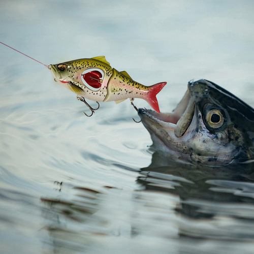 Aparejos De Pesca Regalo De Pesca De Hundimiento Estilo A M