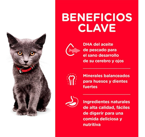 Alimento Hill's Science Diet Hill's Science Diet Indoor Para