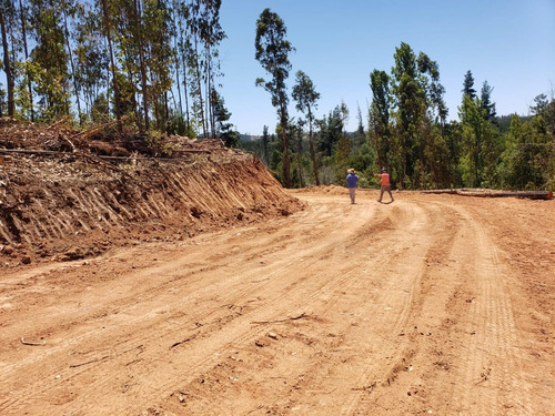 Imagen 12 de 13 de Parcelas Copiulemu Ruta 146 Km 27