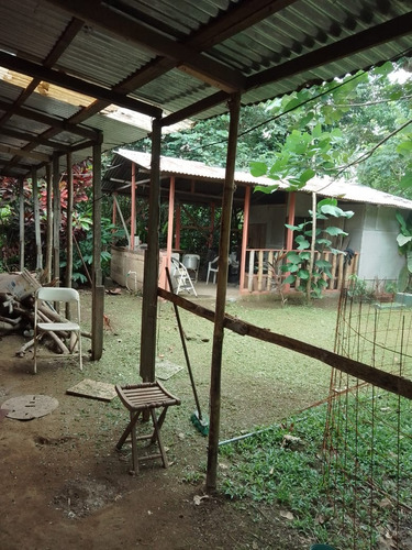 Sarapiqui Horquetas Vendo Propiedad Con Casa