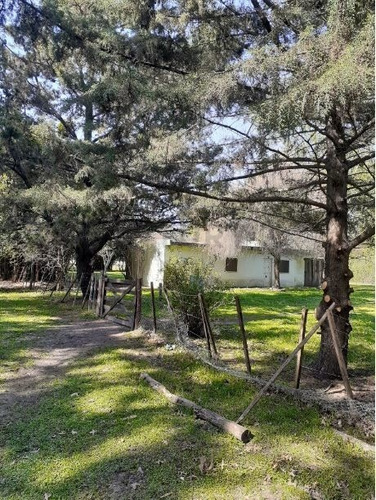 Imagen 6 de 12 de Campo De 9 Hectáreas - Av. 44 252 Y 254. 5 Parcelas Con Partidas Individuales.-