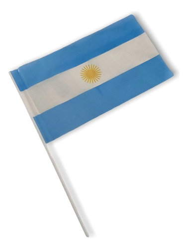 Pack X 25 Banderitas Plasticas De Argentina De 15 X 25