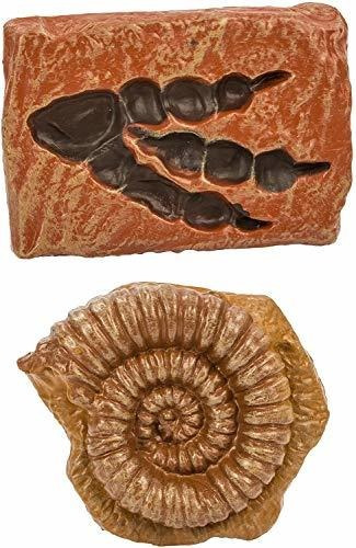 Figura De Dinosaurio Safari Ltd Ancient Fossils Toob Con 10 | Cuotas sin  interés