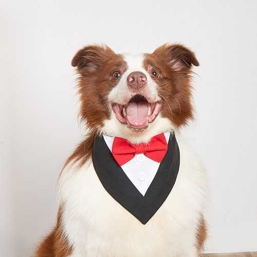 (r-l) Collar Para Perros Y Gatos Con Pajarita En El Cuello,