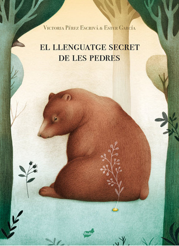 El Llenguatge Secret De Les Pedres (libro Original)