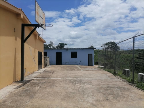 Imagen 7 de 14 de Venta Finca Tocuyito Carabobo Cod. 148247