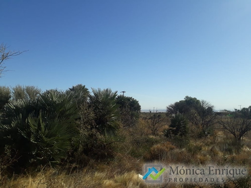 Lote De 7077m2 En Papagayos Ideal Inversion Cabañas Acequia