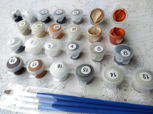 Tucanes Kit Pintura Por Números 30x40 Lienzo Con Bastidor