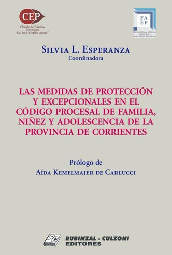 Las Medidas De Protección Y Excepcionales En El Cpfna.