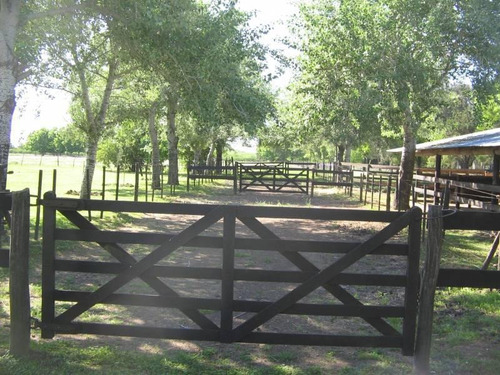 Imagen 10 de 22 de Casa Campo En Venta En Manzanares -pilar, G.b.a. Zona Norte