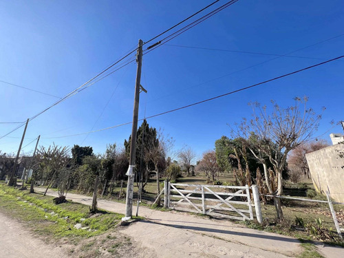 Imagen 10 de 13 de Terreno En Venta En Berisso.