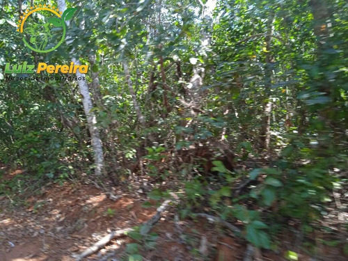 Imagem 3 de 11 de Fazenda À Venda No Vale Do Araguaia - To - Espetacular Para Soja - 1815