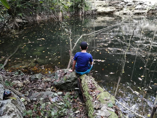 Imagen 6 de 13 de Terreno Con Cenote Al Descubierto A 25 Minutos De Valladolid