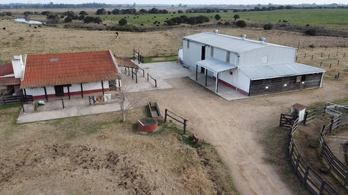 Espectacular Campo En Los Cerrillos, Las Brujas, Haras.