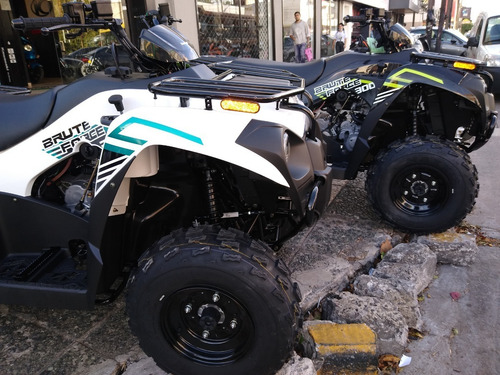 Imagen 3 de 15 de Kawasaki Brute Force 300 ( No Honda Fourtrax Grizzly )