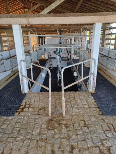 Piso Em Borracha Para Sala De Ordenha Fosso Corredor Equino