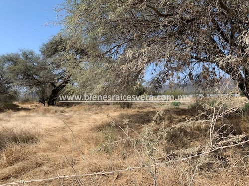 Imagen 7 de 9 de Terreno En Venta En Tequisquiapan Roman
