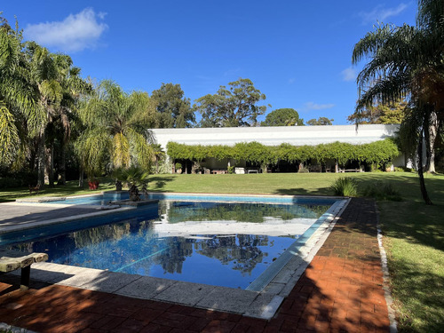 Maravillosa Casa De Lujo En Barrio El Golf, Punta Del Este