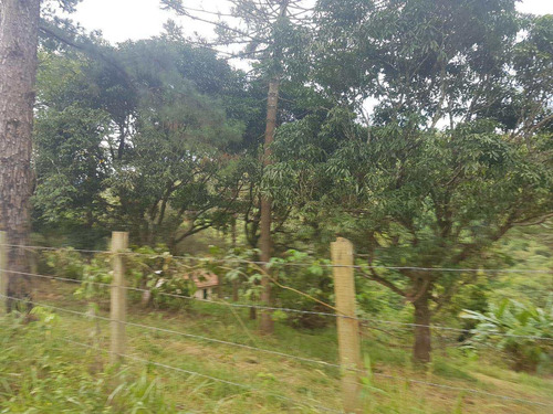 Imagem 4 de 14 de Terreno, Centro, Pirapora Do Bom Jesus - R$ 1.200.000,00, 430m² - Codigo: 234967 - V234967