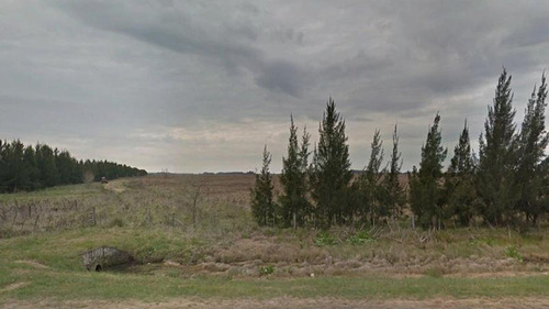 Imagen 11 de 18 de 520 Has - Campo En Venta En La Plata Zonificación Club De Campo