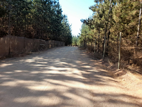Terreno 20 Mtos. De Pichilemu Y Playa Mónaco