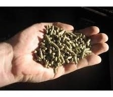 Alimento D Chinchilla 5 Kilos Peletizado Premium Barratisimo