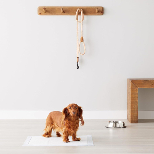 100 Almofadas De Xixi Para Cães Pequenos, 45 X 60 C