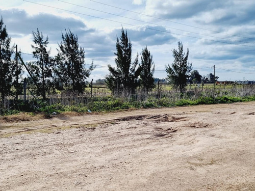 Imagen 18 de 24 de Venta De Campo De 2 Hectáreas En Guernica