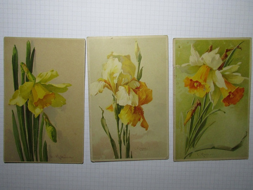 Alemania Lote Postales Aprox 1920 Narcisos   E3