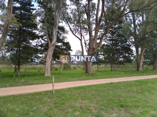 Oportunidad En Polo Club Country De Ruta 10 Kilómetro 172