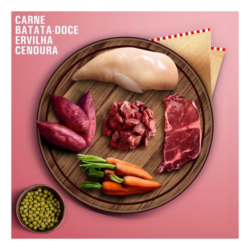 Ração Úmida Para Cães Sabor Carne 300g - Livelong