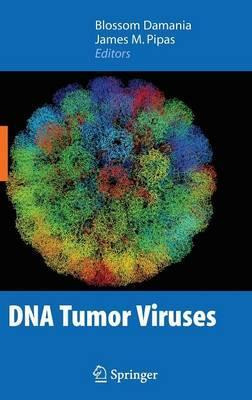 Libro Dna Tumor Viruses - Blossom Damanias