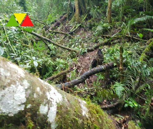 Imagem 22 de 22 de Chácara Serrinha - Ch00085 - 34982956