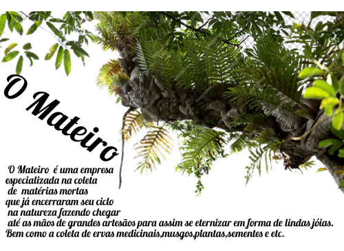 Blocos Madeira Pau Brasil 3 Peças - Cutelaria Facas Luthier