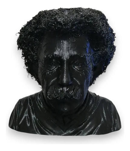 Busto De Albert Einstein Impreso En 3d