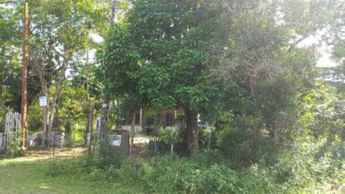 Imagem 21 de 24 de Chácara Com Edícula E Com 2.100 M² De Área Total, Em Itanhaém, No Bairro Palmeiras Ref: 9496/ac