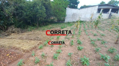 Imagem 5 de 12 de Terreno De 1005 M² + 300 M² Área Verde Com Lago E Nascente Em Ibiúna. - 437